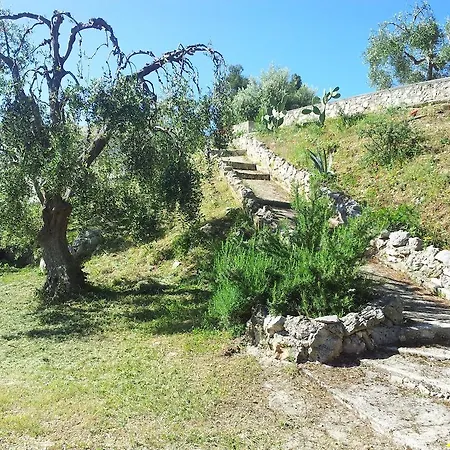 Casa de hóspedes Jamila *